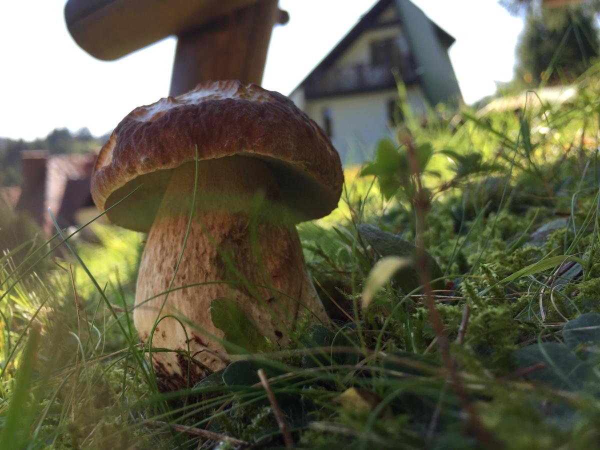 Cerla Korbielów Exteriér fotografie