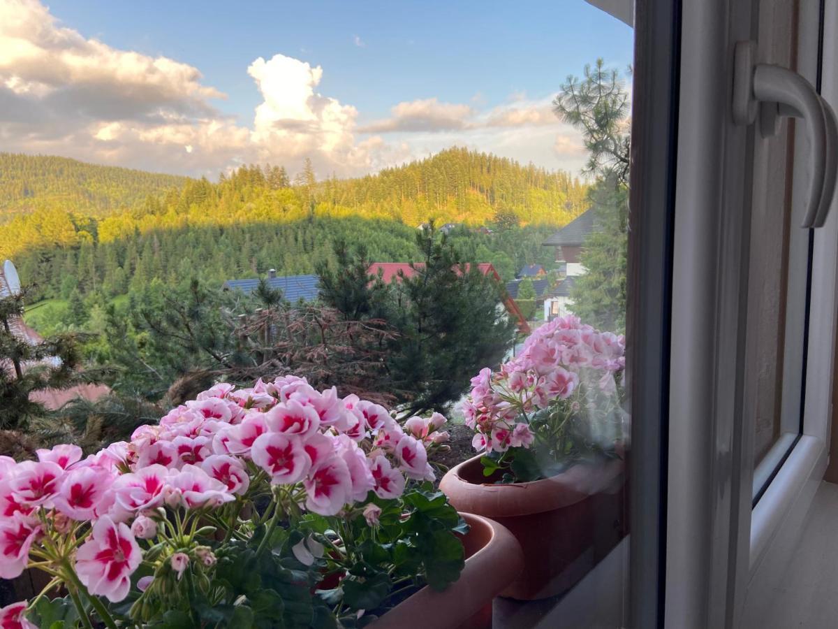 Cerla Korbielów Exteriér fotografie